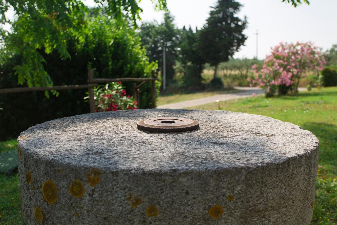 Tenuta Il Corno Agriturismo San Casciano in Val di Pesa Dış mekan fotoğraf
